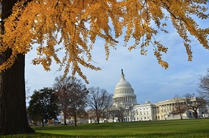 D.C. Braces for AAN Writers and Designers Workshop, Nov. 15-17