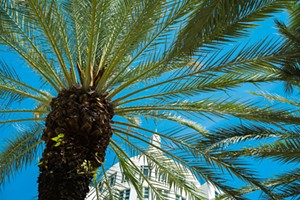 AAN Convention Early Registration Ends Friday